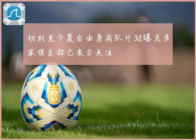 切利克今夏自由身离队计划曝光多家俱乐部已表示关注