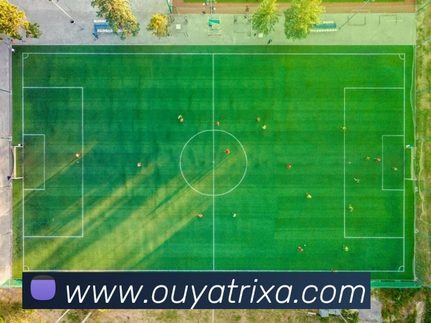 欧亚体育平台生态图