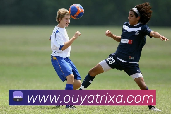 欧亚体育APP 封面图